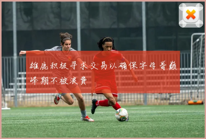 雄鹿积极寻求交易以确保字母哥巅峰期不被浪费